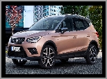 Seat Arona, 2017