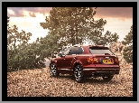 Bentley Bentayga, 2016