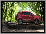 Las, Ford EcoSport, Drzewa