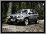 Las, Bmw X5, E70