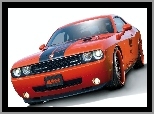 SRT, Dodge Challenger, Eibach